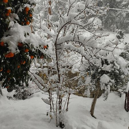 Villa Mountain Breeze Sanctuary Volos Exterior foto